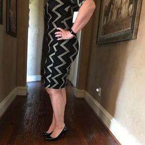 NWT LuLaRoe Elegant Collection Julia XS